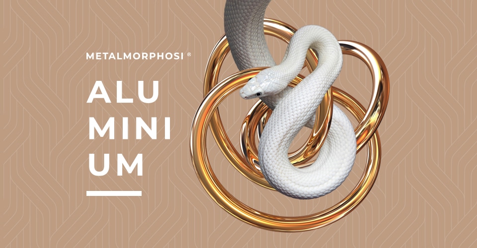 ALUMINIUM-visual-orrizzontale-SITO